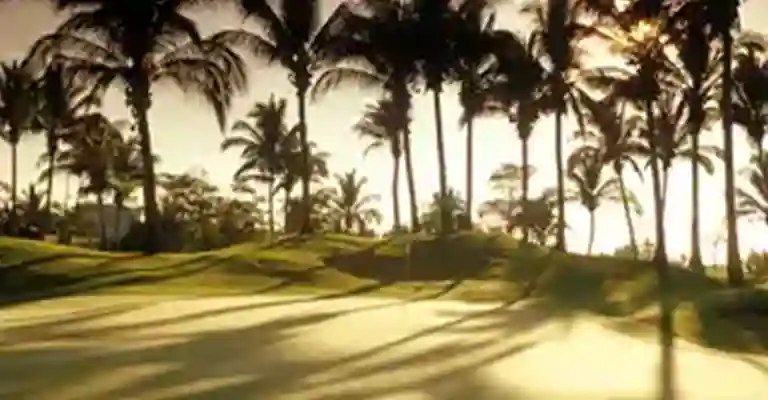 http://www.sqnescapes.com/The Golf Course Acapulco