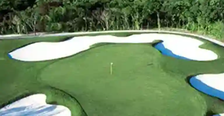 http://www.sqnescapes.com/The Norman Signature Golf Course Nuevo Vallarta